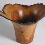 Plum Wide Vase