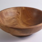 Swamp Kauri 1