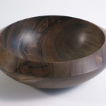 Swamp Kauri 2