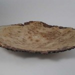 downs_poplar