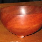 fish_examples_02