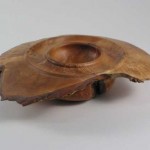 hopkins_burl