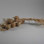 knowles_onions
