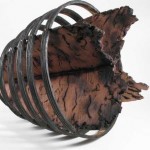 scott_in_rings_1