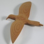 storm petrel