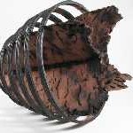 th_scott_in_rings_1